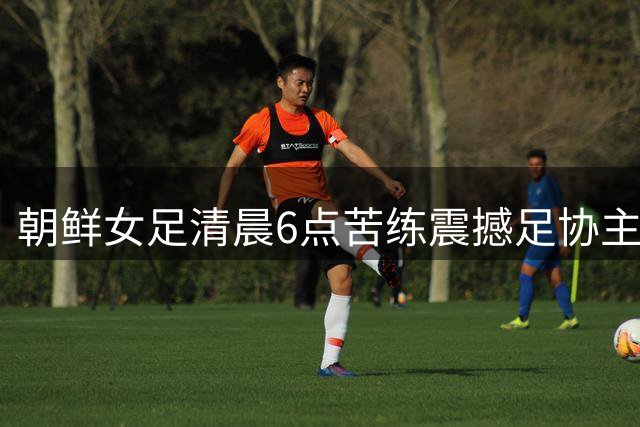 朝鲜女足清晨6点苦练震撼足协主席 中国足球究竟缺了什么？