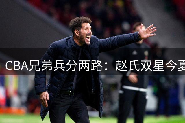 CBA兄弟兵分两路：赵氏双星今夏集体改换门庭